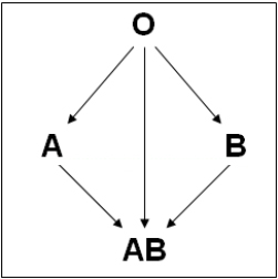 Universalgivning erytrocyter och trombocyter